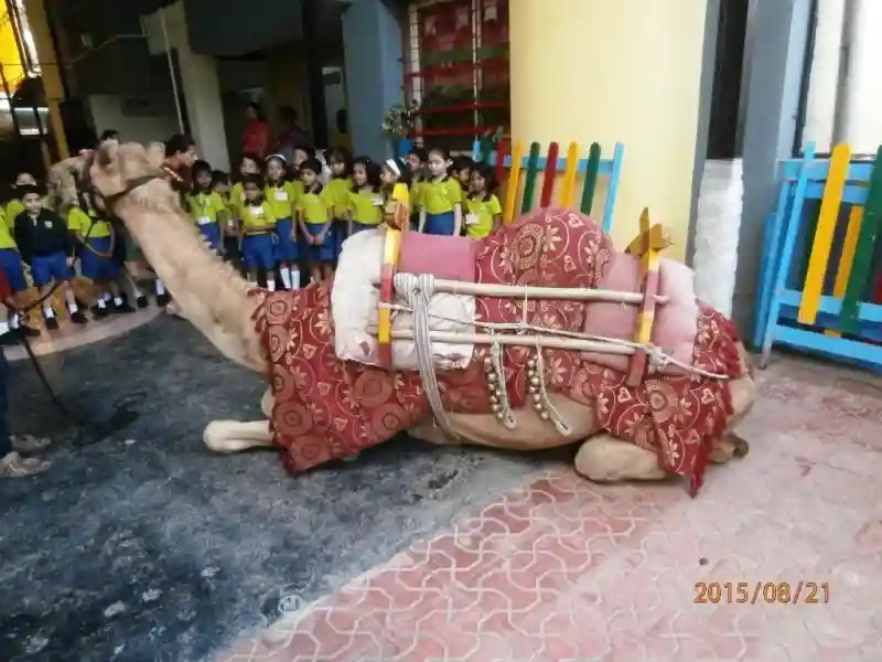 Indira Kids 14