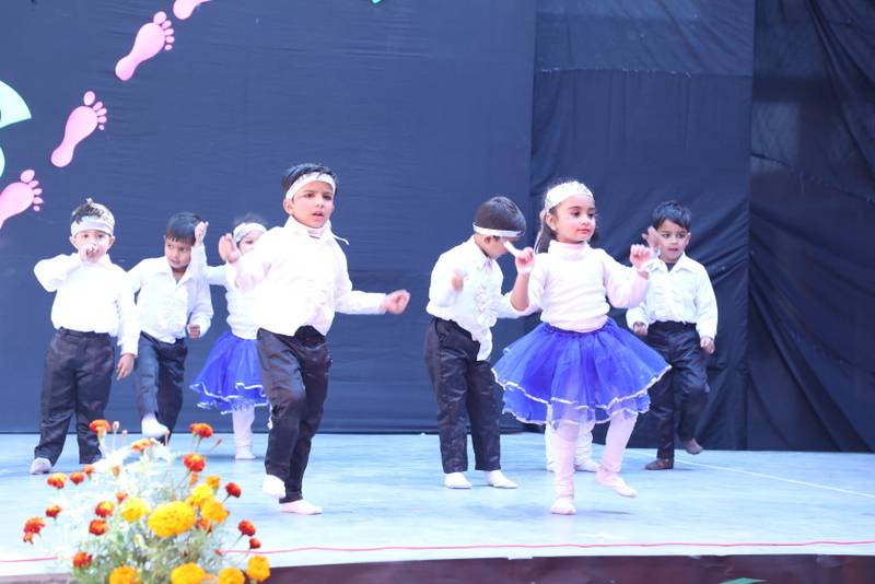 Jhabban Lal DAV Public School 3