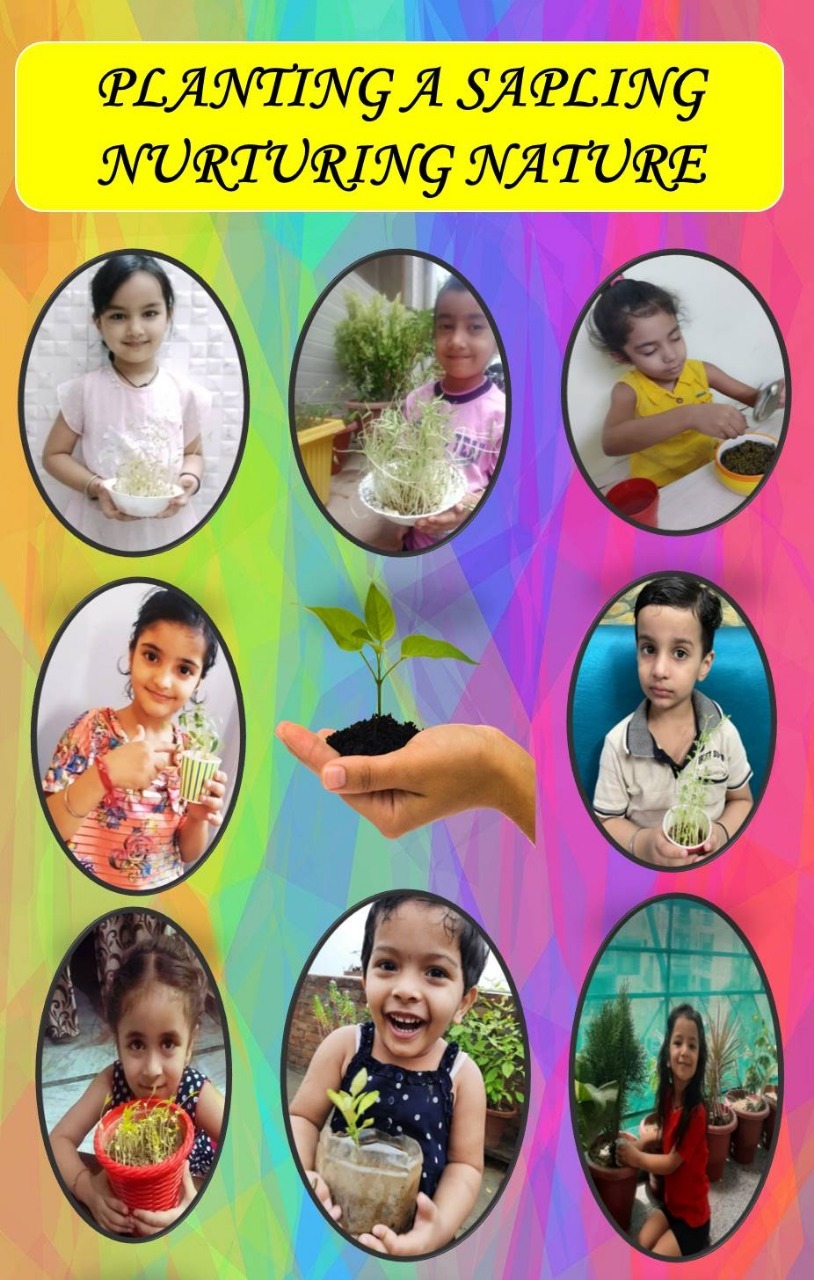Mamta Modern Senior Secondary School 8