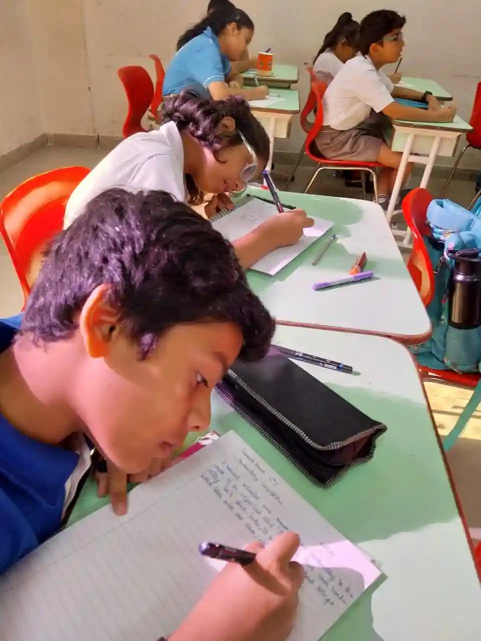 Mayoor School 12