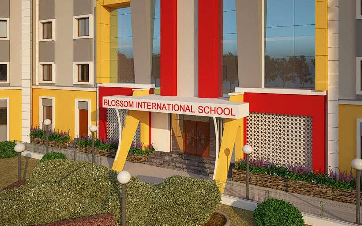 Blossom International School 2