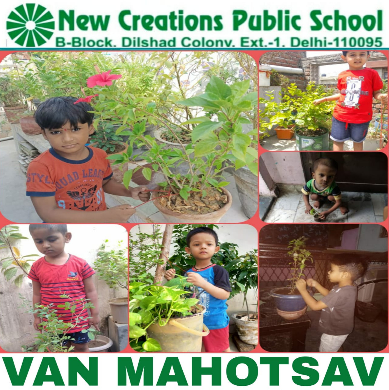 New Creations Public School 6