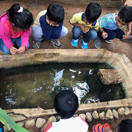 The Montessori School campus photo 5 of 5 — JP Nagar
