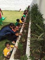 VSPK International School Juniors 7