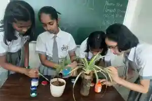 Dhole Patil School for Excellence 5