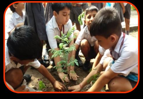 Army Public School 6