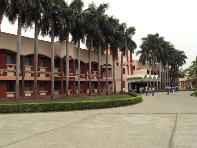 Campion School campus 5
