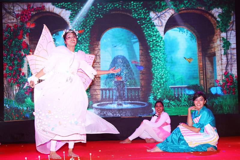 Apeejay School 4