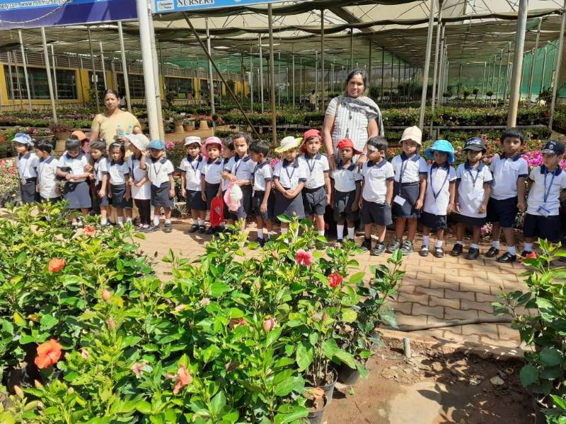 Carmel Teresa School 11
