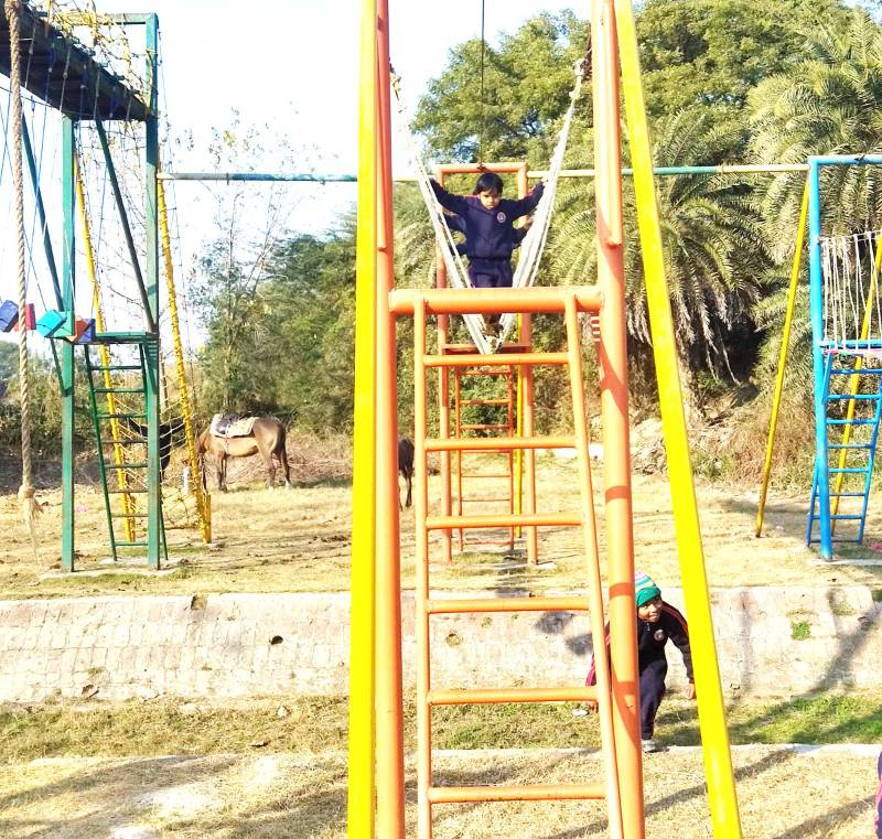Alpha Convent School 10