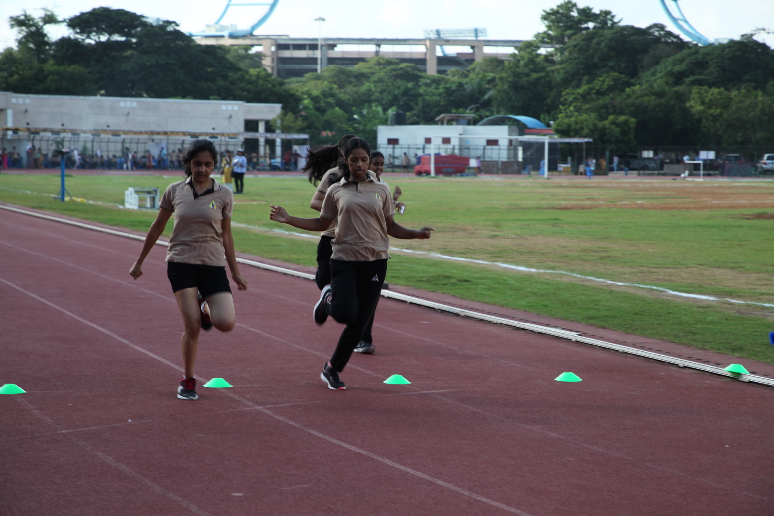 APL Global School 2