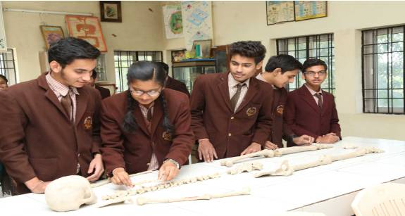 Sharda Vidya Mandir Senior Secondary School campus 2