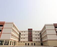 Stemfield International School 5