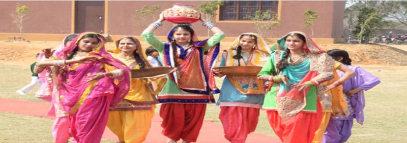 Greenland Public School 2