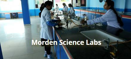 International Bharti School 6