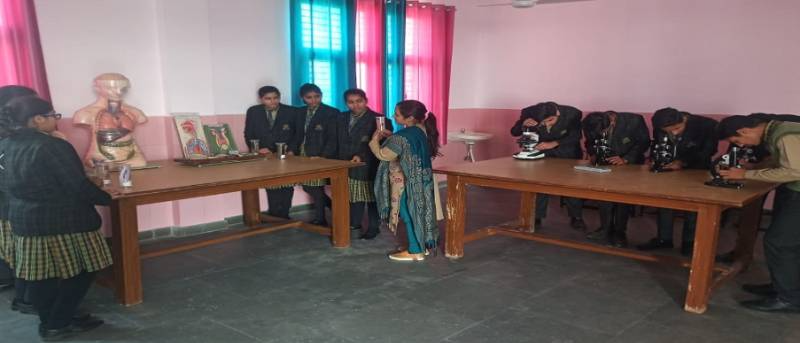 M G M Senior Secondary School 11