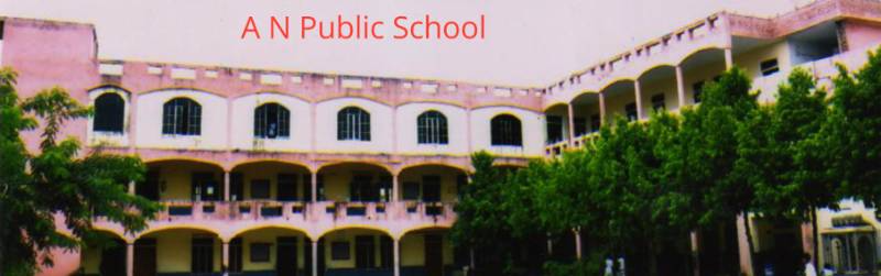 A N Public School 2