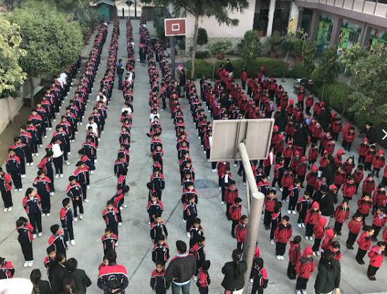 American International School 6