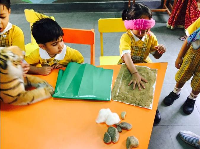 Apex International School 3