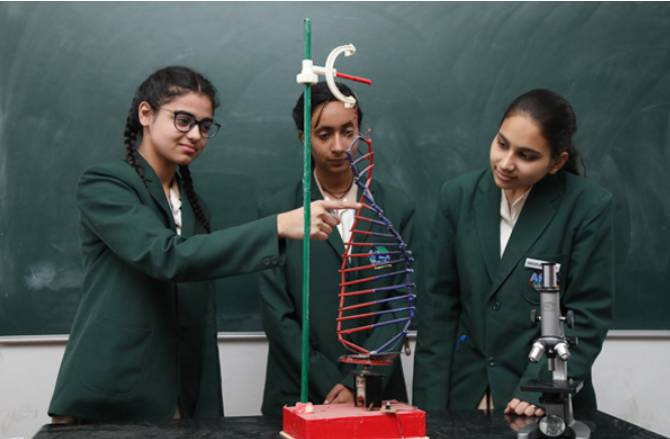 Apex International School 5