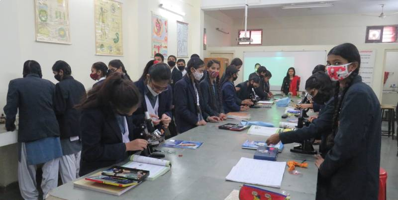Army Public School 6