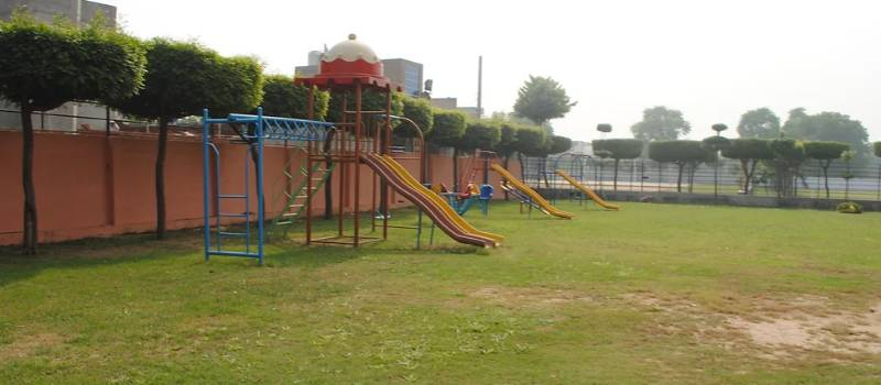 Beetle's International School 8