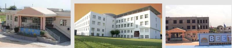 Beetle's International School 2