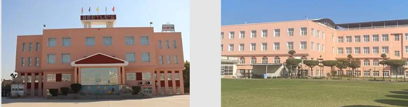 Beetle's International School 3