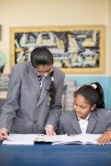 Bhabha Public School 5