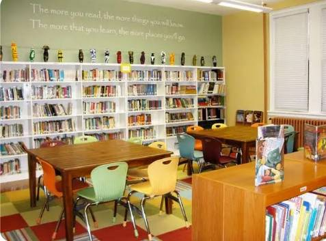 British International School 7