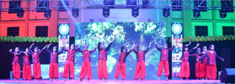 Elwood International School 6