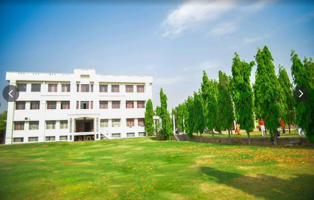 India Overseas School 4