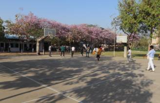 Jaipur School 6