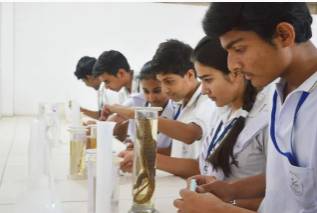 LBS Public School campus photo 6 of 10 — Pratap Nagar