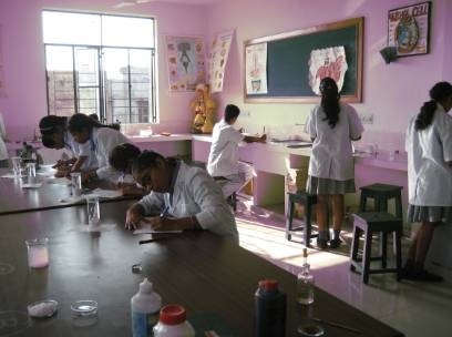 Rainbow School 7