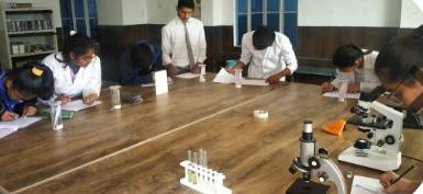 S. G. International School 5