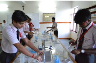 Our Lady Of Pillar Convent School 13