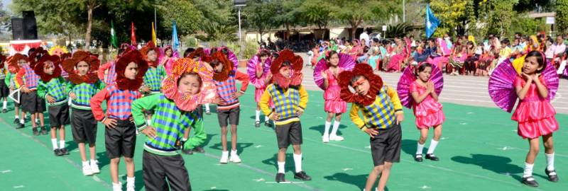 Green Valley Public School 5