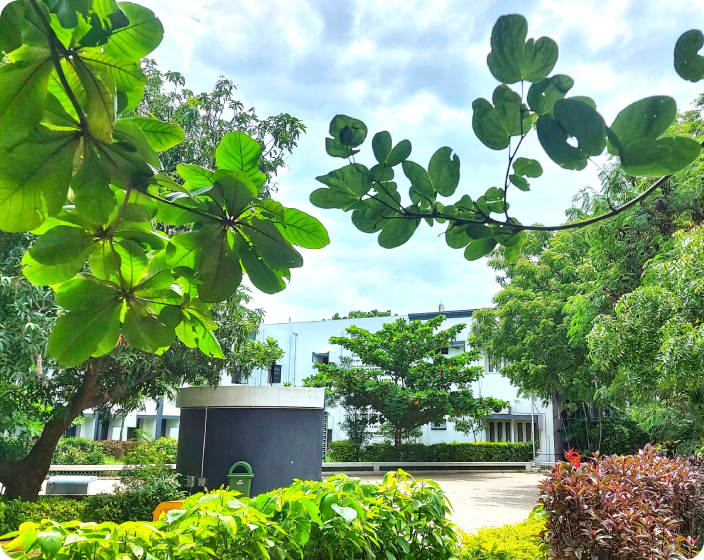 Crescent School 2
