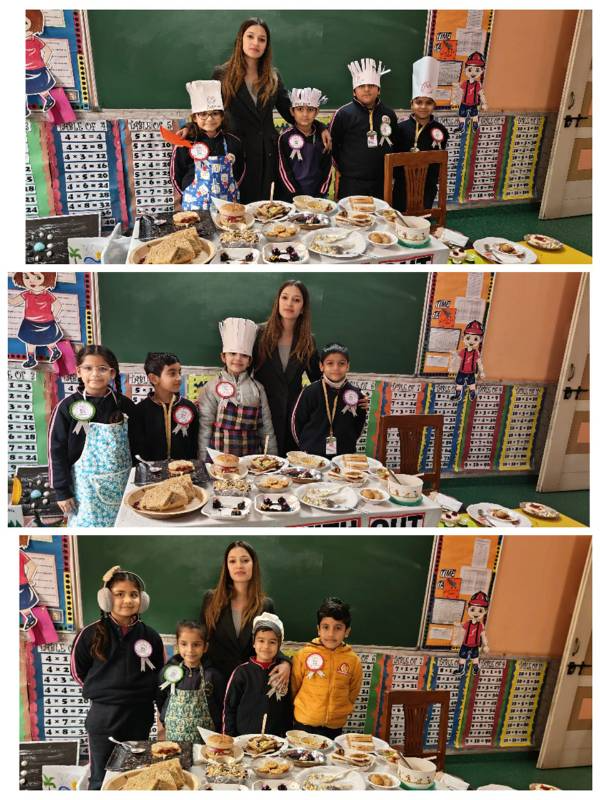 Delhi Scholars International School 10