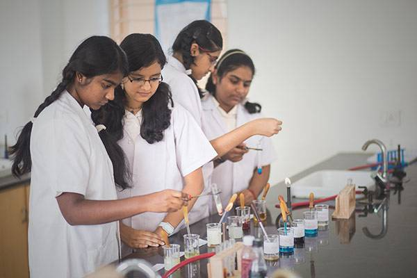National Public School 7