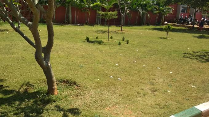 Delhi Public School 3