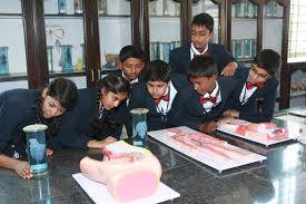 Nightingales Public School 3