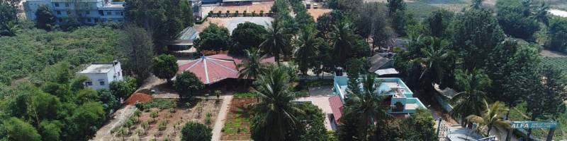 Alfa Public School campus 4