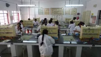 D.A.V. Public School 6