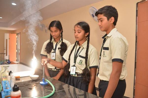 Green Field International School 4