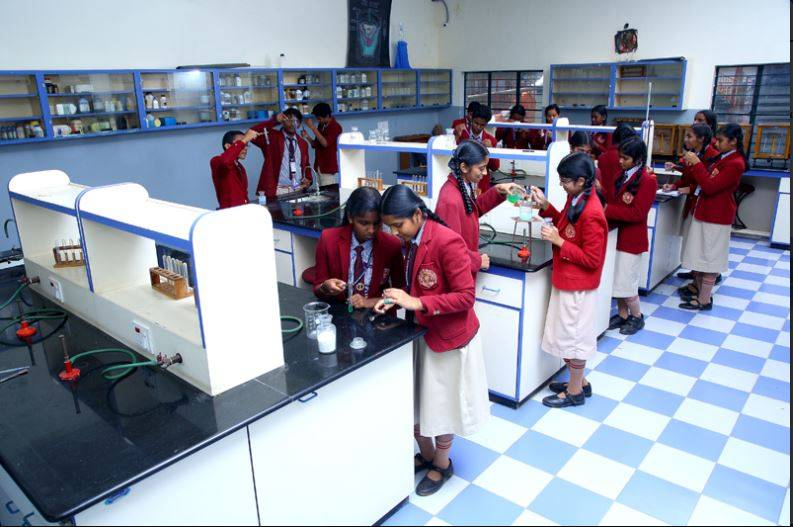SEA International School 9