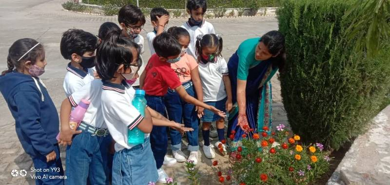 Singhania Global Academy 2