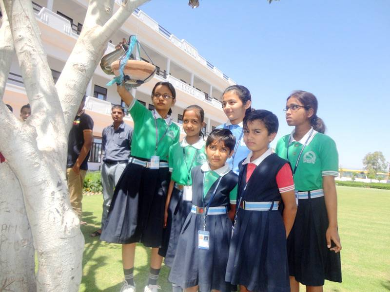 Swami Keshwanand Shikshan Sansthan Sr Sec School 2