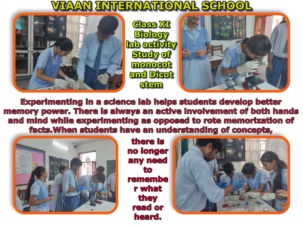 Viaan International School 4